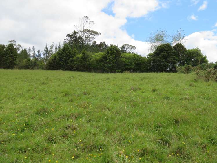 Lot 2 Puketotara Road Okaihau_14