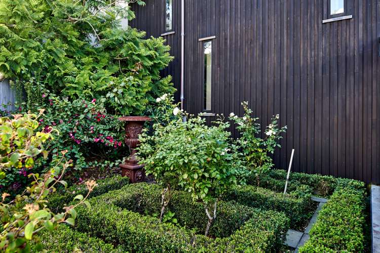 10 Hay Street Oriental Bay_7