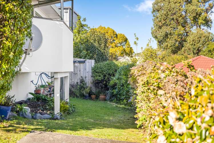 6 Palmgreen Court Stanmore Bay_15