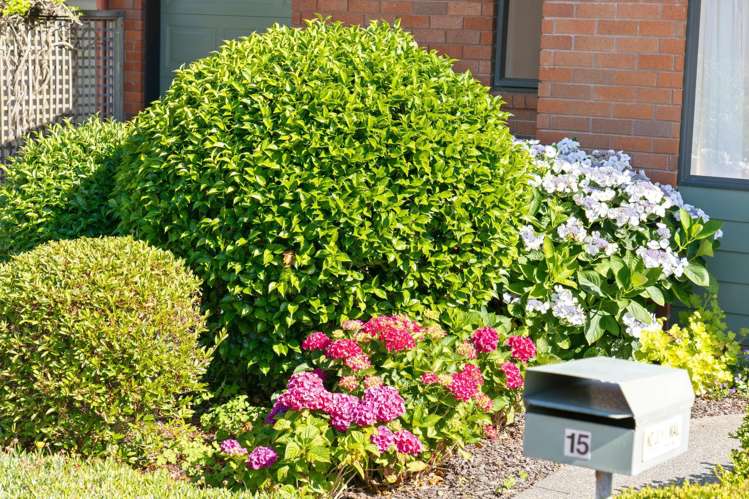 15/127 Boundary Road Blockhouse Bay_19