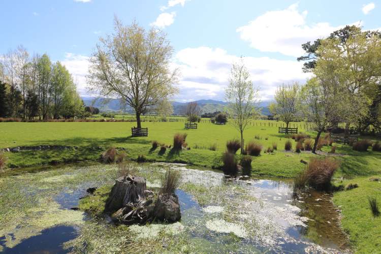 153 Chester Road Carterton_17