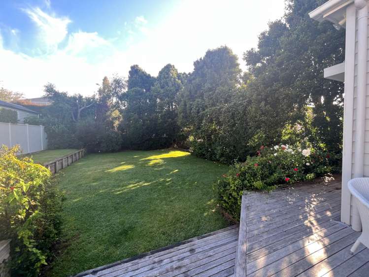 30 Dexter Avenue Mount Eden_12