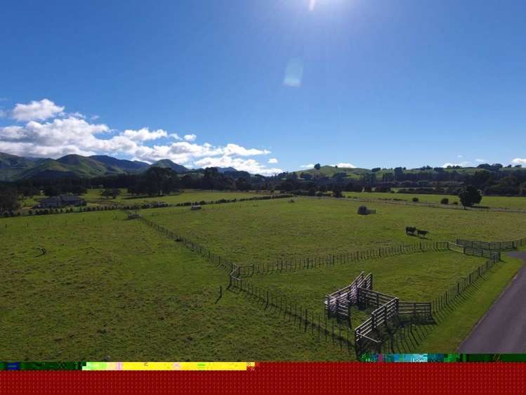 881e Norfolk Road Upper Plain_9