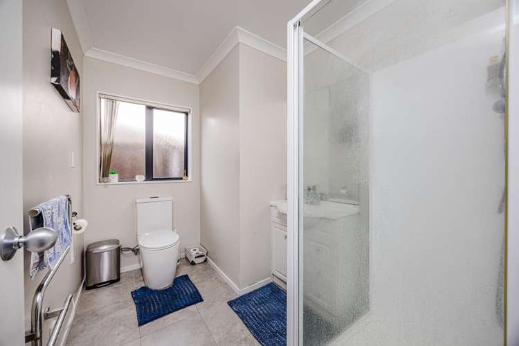 69 Mandival Avenue Flat Bush_9