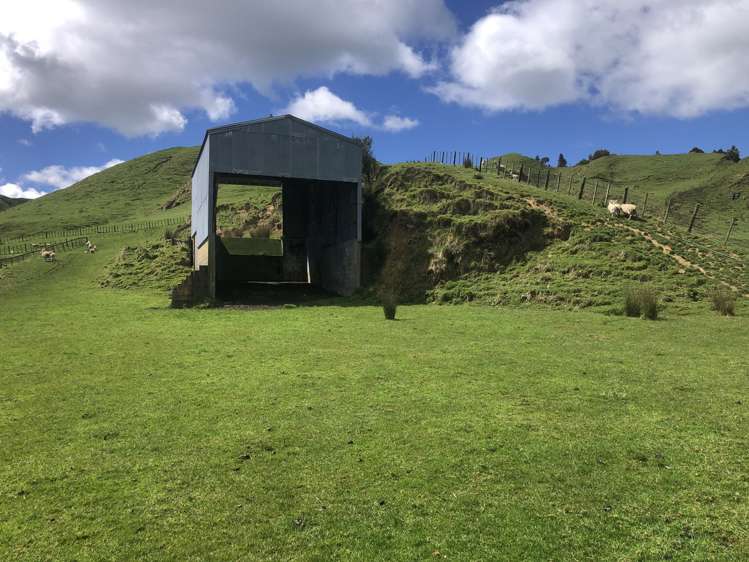 1041 Paparoa Road Whanganui National Park_11