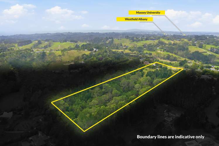 68 Potter Road Dairy Flat_8