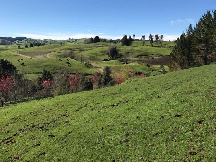 1232 Ngaroma Road Wharepuhunga_19