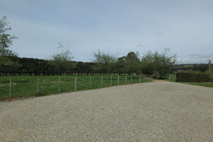 1720 Kakanui Valley Road Five Forks and Surrounds_5