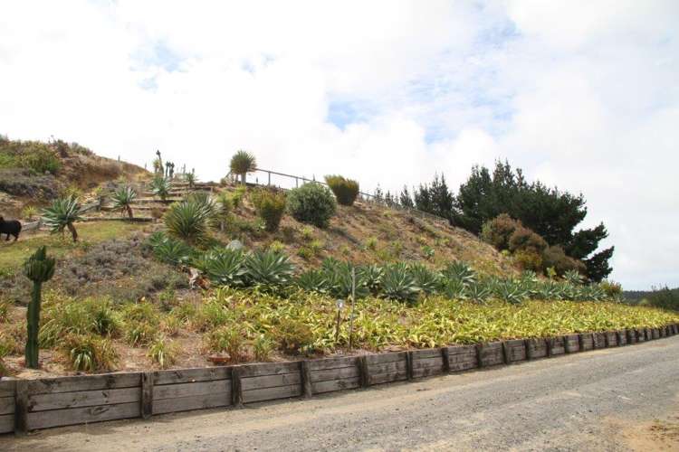 41 Mcmanus Road Houhora_17