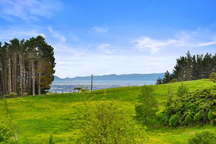 47 Cherrington Road Clevedon_36