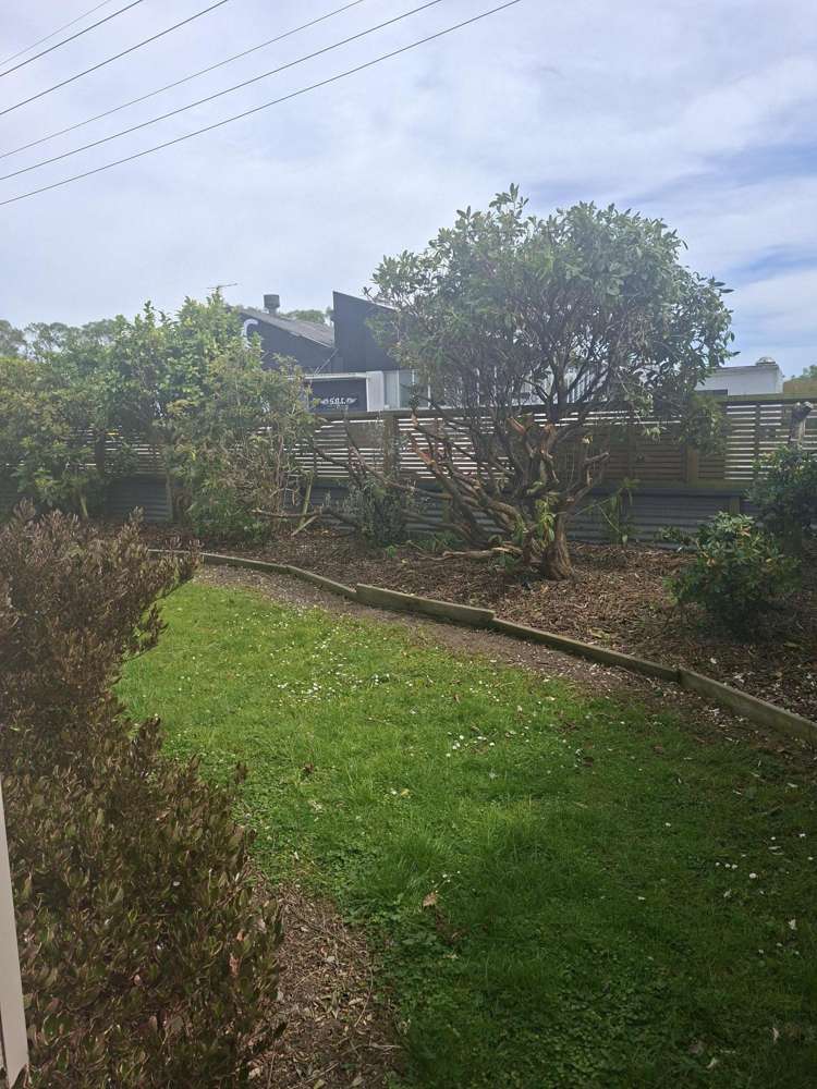 31a Crown Street Balclutha_17