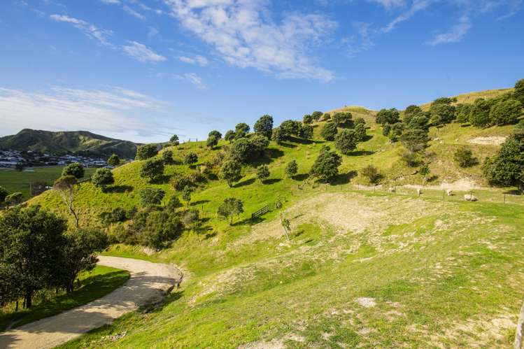 87 Lochiel Street Mahia_12