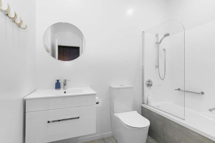 13 Te Ara O Paetutu Petone_14