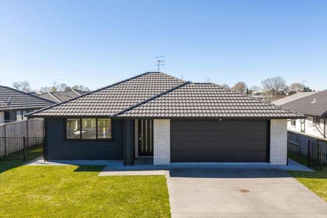26 Mural Drive Katikati_4