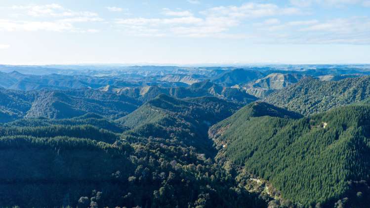 1304 Tokomaru East Road Brunswick_7