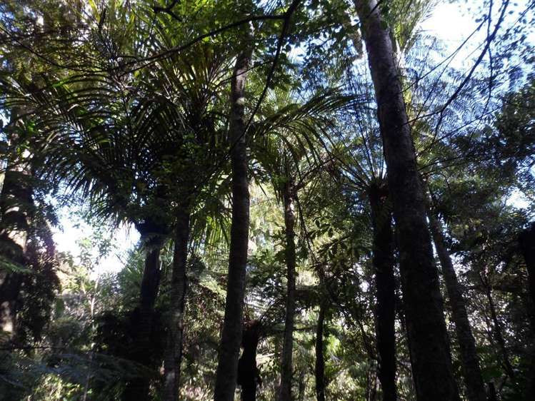 27 Omatai Road Peria_17