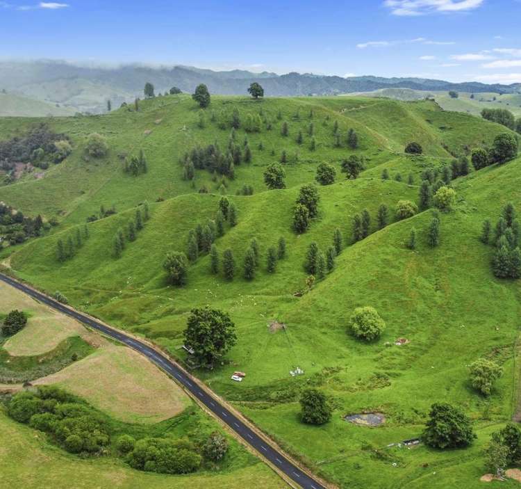 Hikumutu Road Taumarunui_0