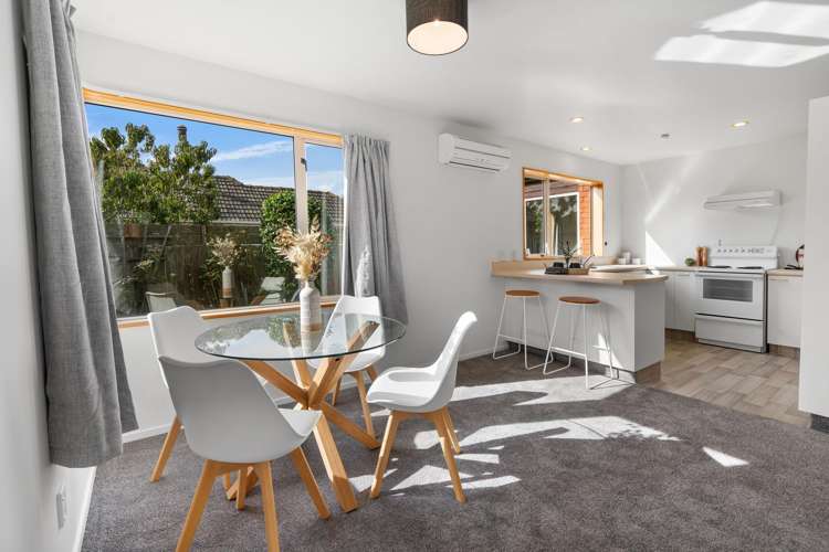 19 Mcleish Lane Spreydon_5