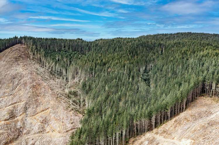 Lots 2-4, 14, 15, DP 9115 Motu Road Matawai_6