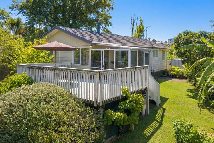 63 Hartley Terrace Massey_35