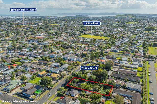 23 Vine Street Mangere East_4