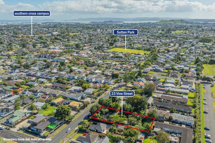 23 Vine Street Mangere East_4