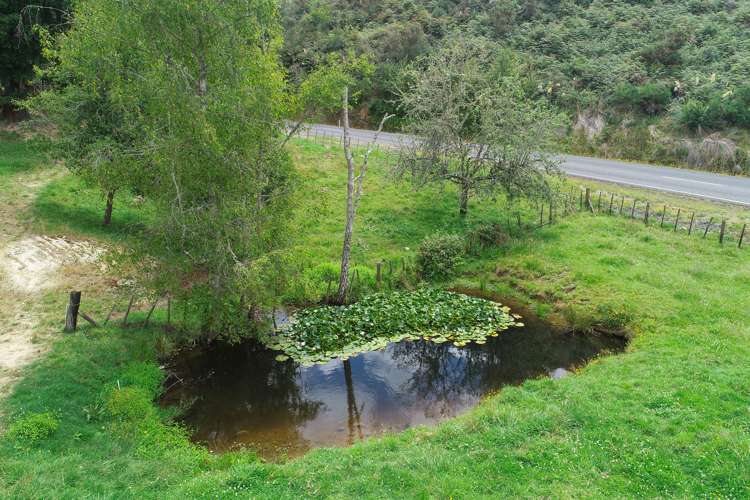 1716 Ongarue Waimiha Road Waimiha-Ongarue_25