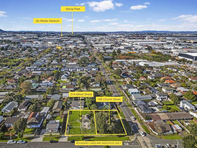 51a Alfred Street & 186 Church Street Onehunga_2