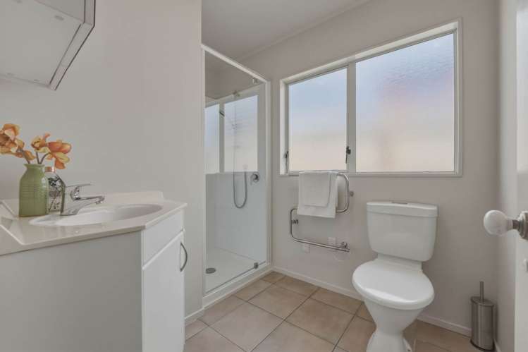 239 Campbell Road Greenlane_20