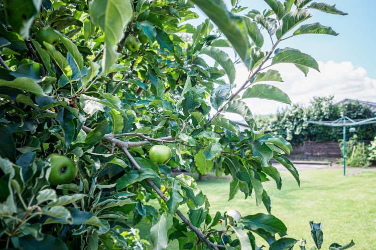 6 Bracken Street Cambridge_23