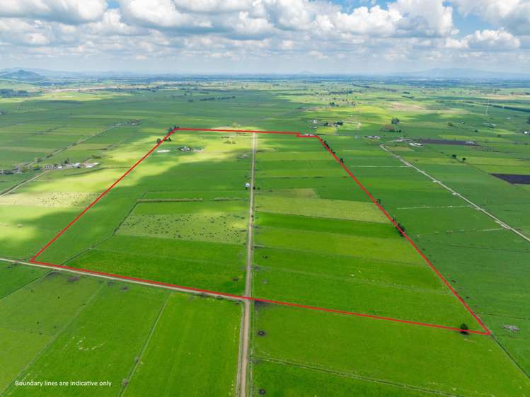 1001 Piako Road Gordonton_26