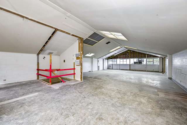 19 Falcon Street Parnell_3