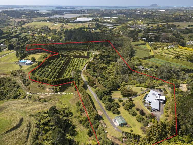 83 I'Anson Road Te Puna_28