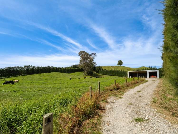 449 Crawford Road Te Puna_5