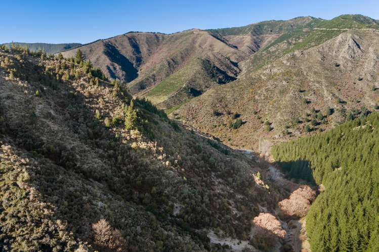 3992 Waihopai Valley Road Waihopai Valley_30