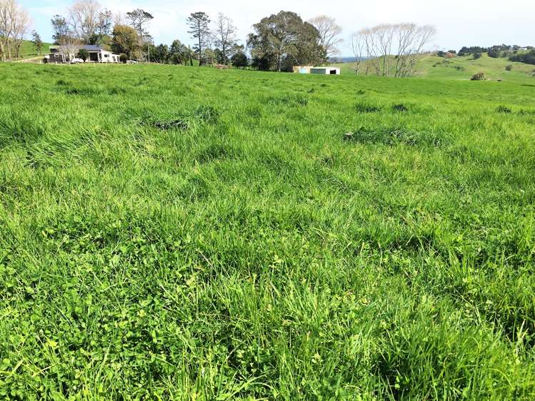 6036 State Highway 12 Arapohue_21