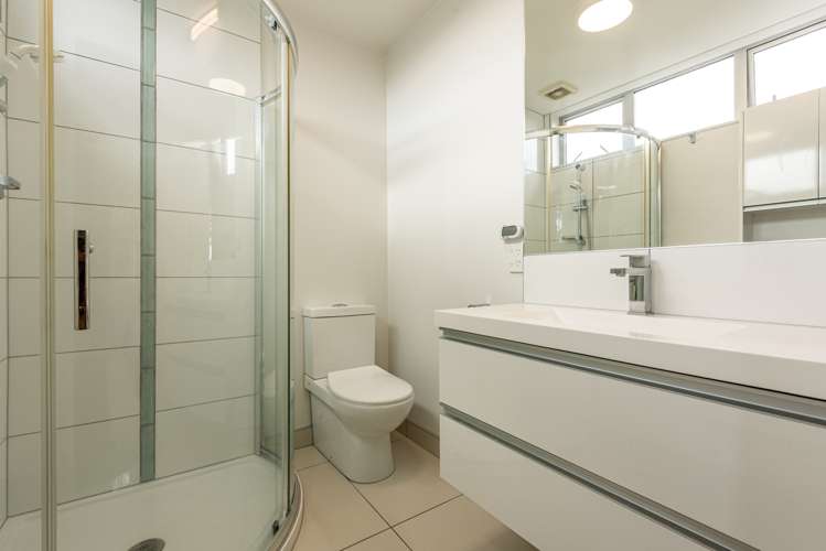 3b Anderson Terrace Mount Cook_8