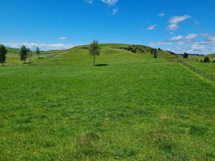 0n Lincoln Road Everett Park_5