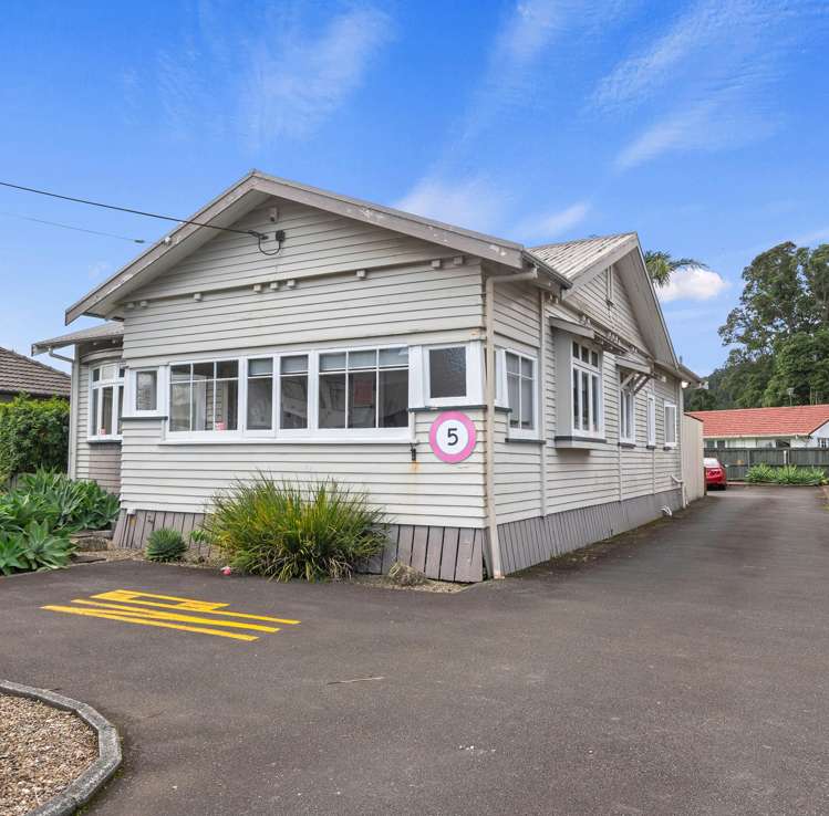 56 Kamo Road Kensington_15