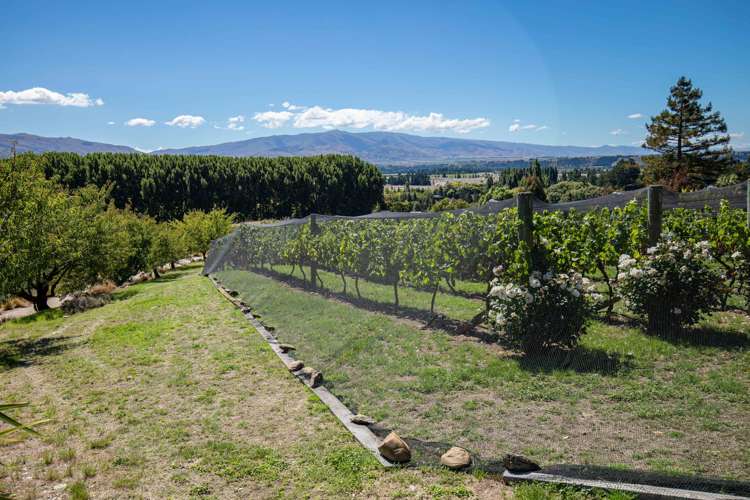 376c Earnscleugh Road Alexandra_15