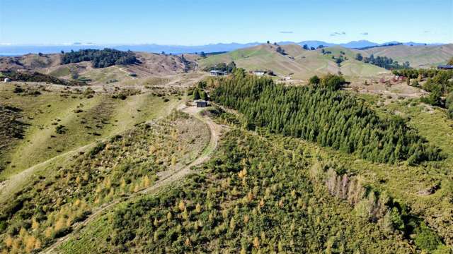 854A Neudorf Road Upper Moutere_2