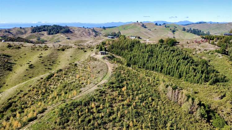 854A Neudorf Road Upper Moutere_2