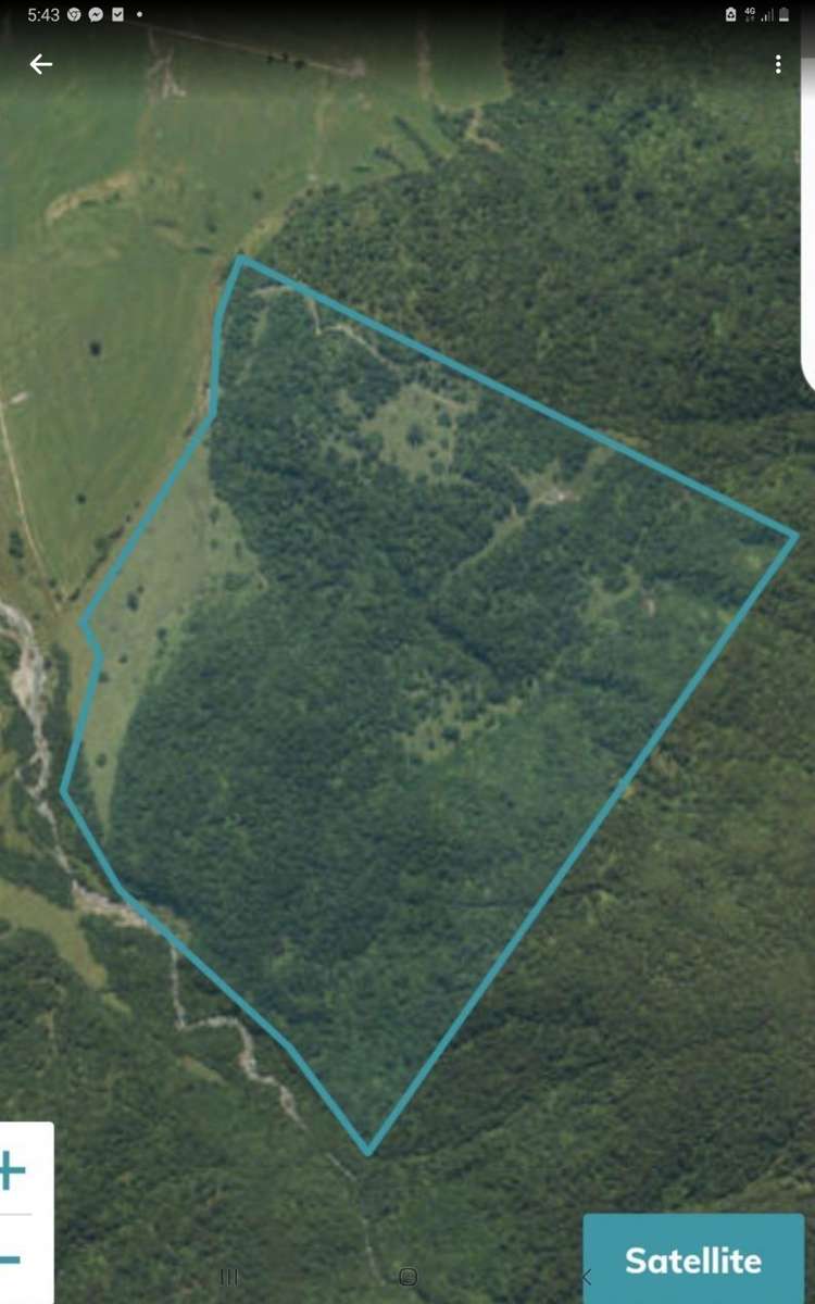 254 Doughboy Road Kokatahi_6