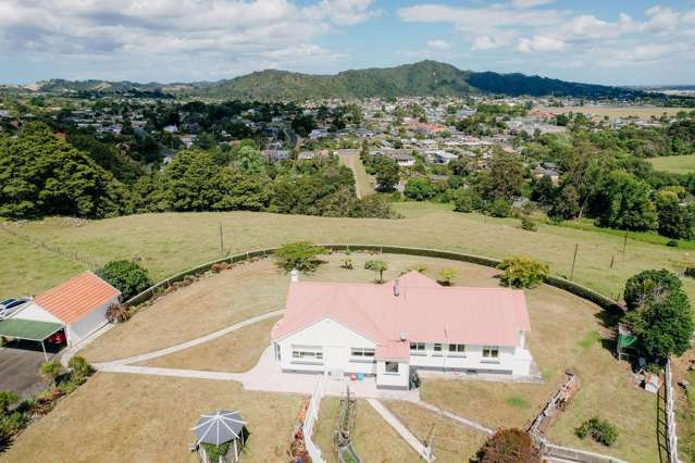 48 Bedlington Street Whau Valley_3