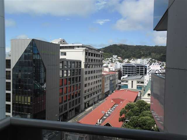 Two Bedroom Apartment Central Wellington