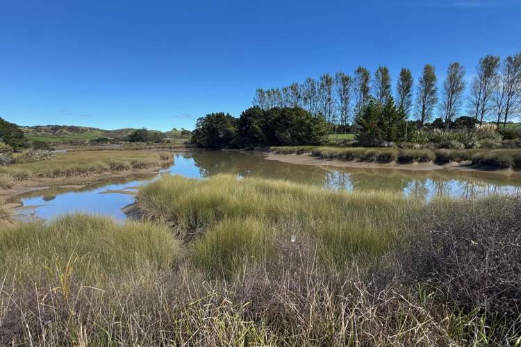 4439 State Highway 31 Kawhia Road Oparau_20