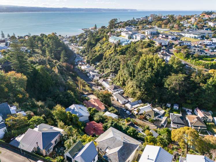 17 Fitzroy Road Bluff Hill_21