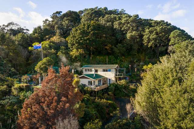 642 Thames Coast Road Waiomu_2