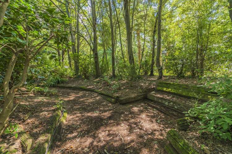 428 Kowai Road Springfield_30