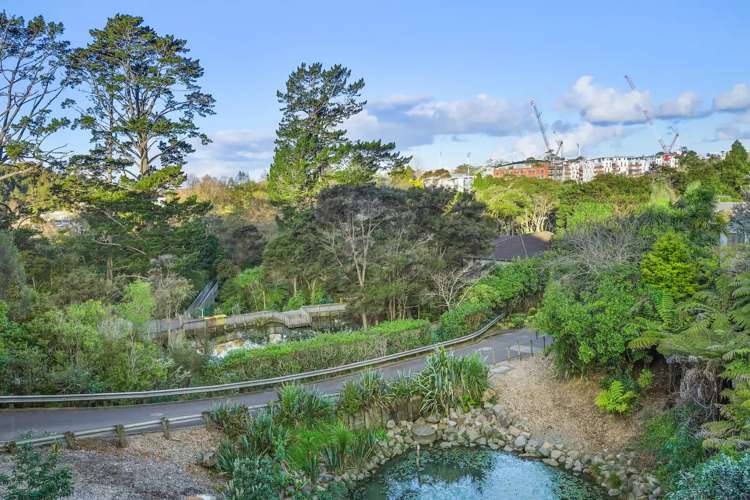 23/17 Georgia Terrace Albany_15